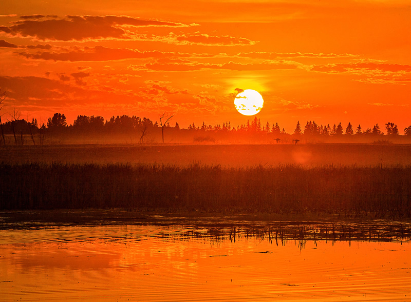 Sunset Haze by Terry Roberts